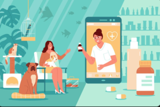 What Services A Mobile Vet Can Do At Home (And What Still Requires A Clinic)