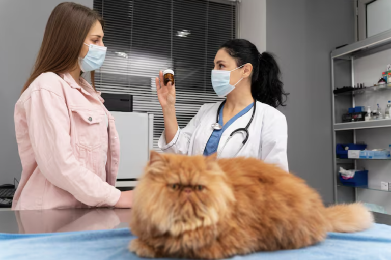 3 Specialized Treatments Offered By Advanced Cat And Dog Hospitals