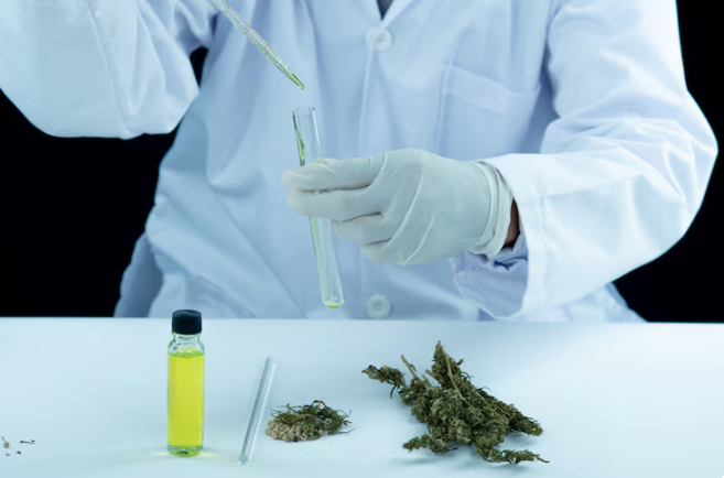 Why 280E Makes Cannabis CPA Services Indispensable