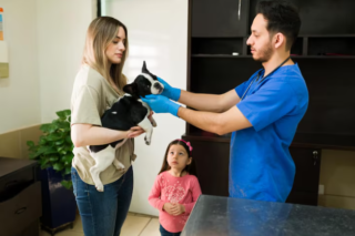 How Veterinary Clinics Are Building Stronger Relationships With Pet Owners