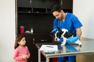 The Role Of Animal Hospitals In Managing Infectious Diseases