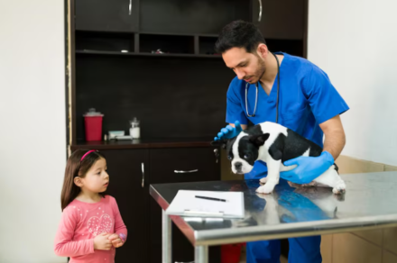 The Role Of Animal Hospitals In Managing Infectious Diseases