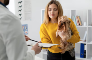 How Veterinarians Address Anxiety In Pets During Exams