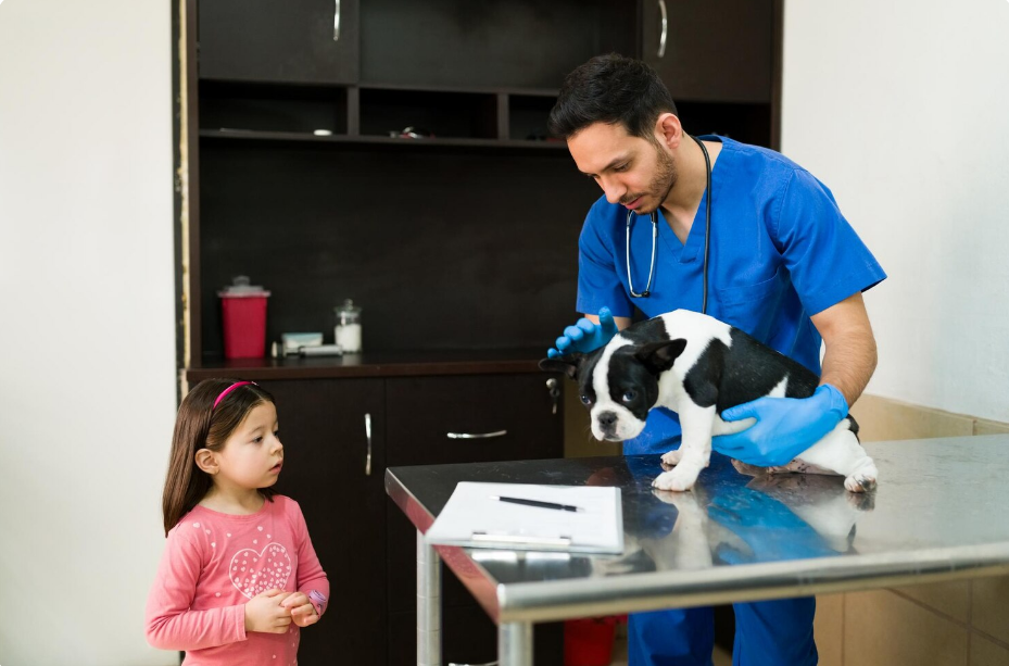 Animal Hospitals and Their Role in Controlling Infectious Diseases