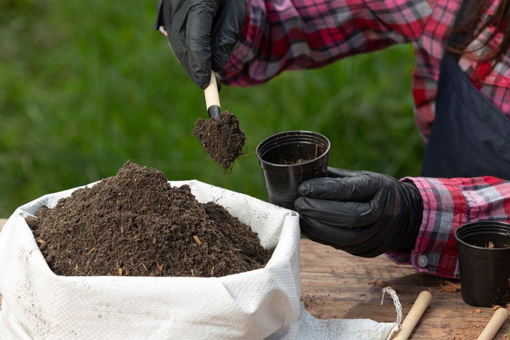 The Ultimate Guide to Testing Your Top Soil
