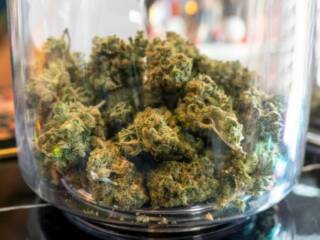 Exploring Heaven Bells: Why This Strain Stands Out in Ohio’s Dispensaries