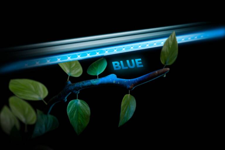 Advanced Grower Guide: Fine-Tuning Spectrum with Supplemental Lights