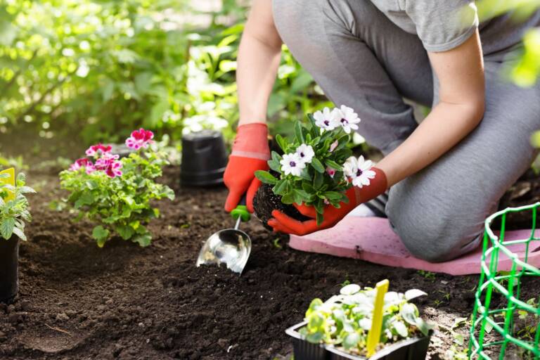Why ‘Grow a Garden Shop’ Is the Ultimate Destination for Virtual Gardeners