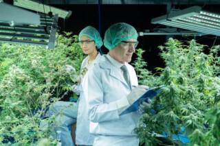 What Are the Legal Requirements to Buy from an Orlando Cannabis Dispensary?