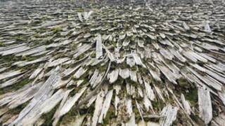 Signs Your Cypress Roof Needs Professional Attention After a Storm