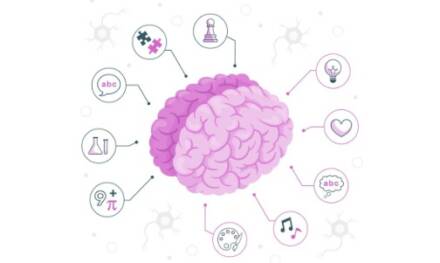 Unlocking Your Brain’s Full Potential: How to Boost Cognitive Function and Stay Productive