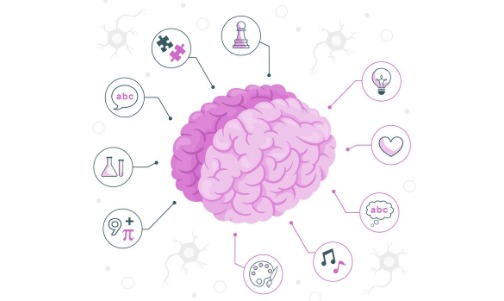 Unlocking Your Brain’s Full Potential: How to Boost Cognitive Function and Stay Productive