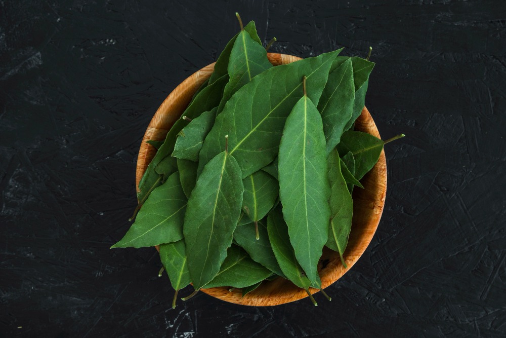 Getting to Know the Drying Process of Kratom Leaves