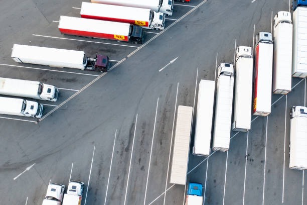 The Role of Specialized Carriers in Pharmaceutical Transport