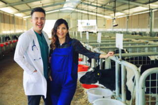 How Veterinary Hospitals Support Reproductive And Breeding Care