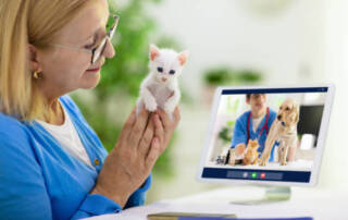 4 Benefits Of Telehealth Options In Veterinary Care