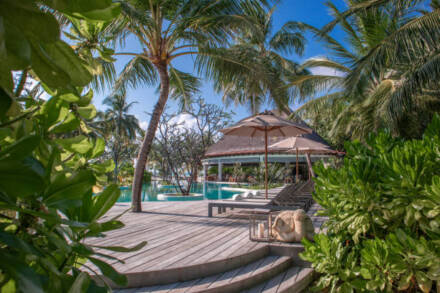 Why Choose a Bungalow Rental Over a Condo or Hotel?