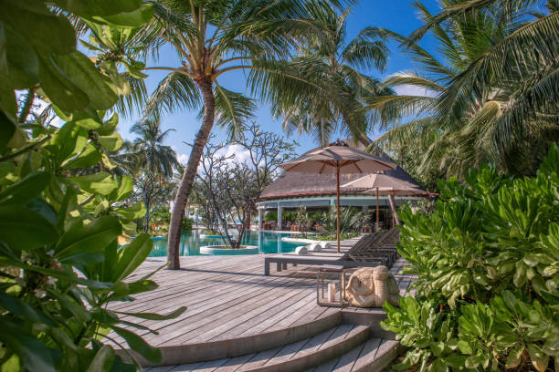 Why Choose a Bungalow Rental Over a Condo or Hotel?