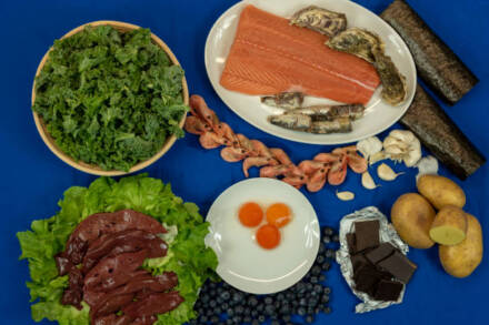 Functional Foods That Support Deep Internal Repair