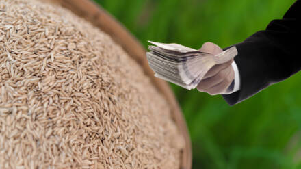 Factors Affecting Rice Sheller Price: What to Consider Before Buying