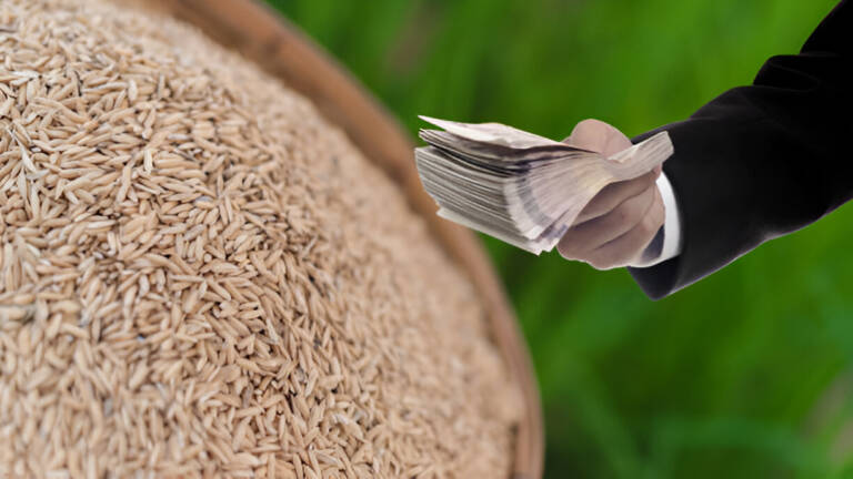 Factors Affecting Rice Sheller Price: What to Consider Before Buying