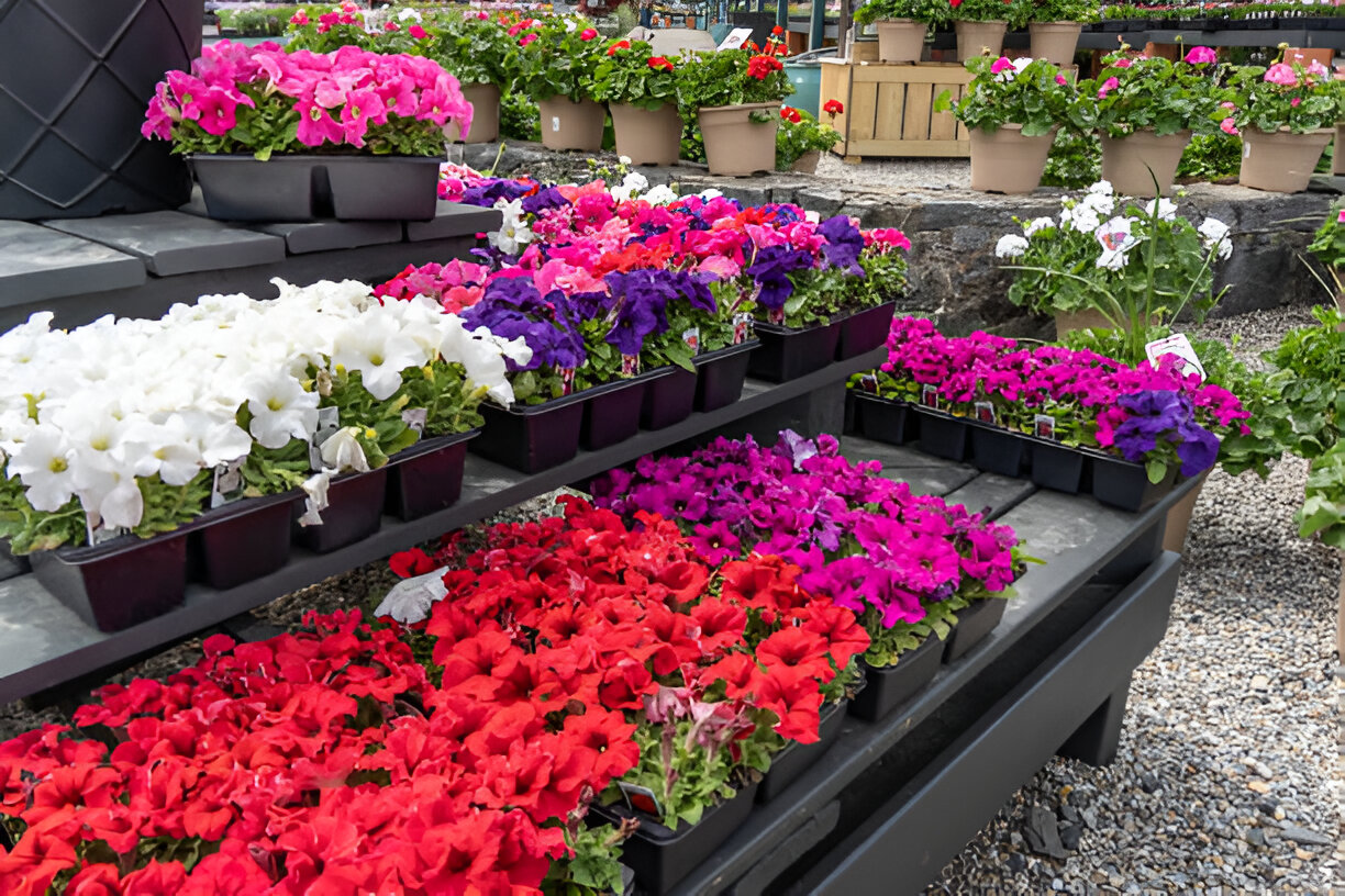 NJ Garden Center: Your One-Stop Destination for Gardening Needs