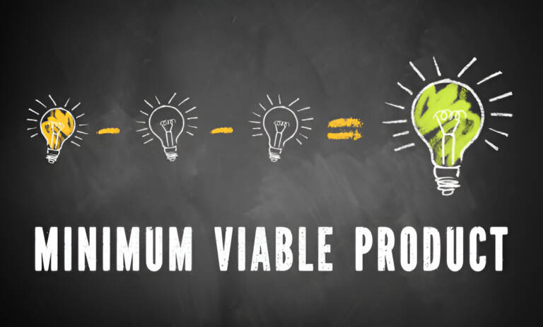 Expert Guidance in Developing Minimum Viable Products for Innovation