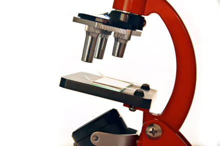Scanning Electron Microscopy: A Powerful Tool for High-Resolution Imaging