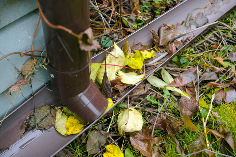 The Importance of Timely Gutter Replacement for Protecting Homes in Lake County