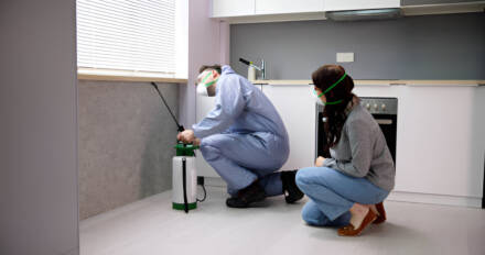 What Makes Bi-Monthly Pest Control a Reliable Solution in Irvine