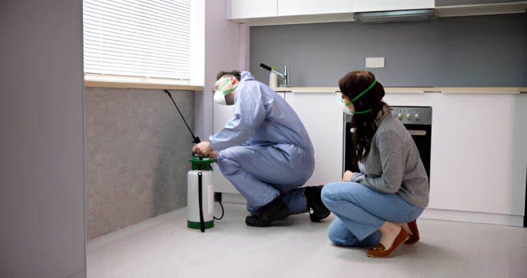 What Makes Bi-Monthly Pest Control a Reliable Solution in Irvine