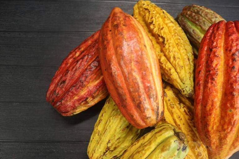 Is the cocoa industry at risk of facing extinction by 2030? 