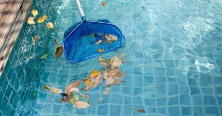 How Skipping Pool Service Can Lead to Bigger Repairs