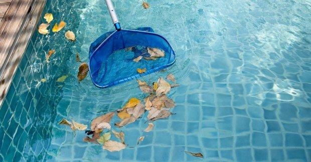 How Skipping Pool Service Can Lead to Bigger Repairs